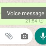 WhatsApp Voice Note