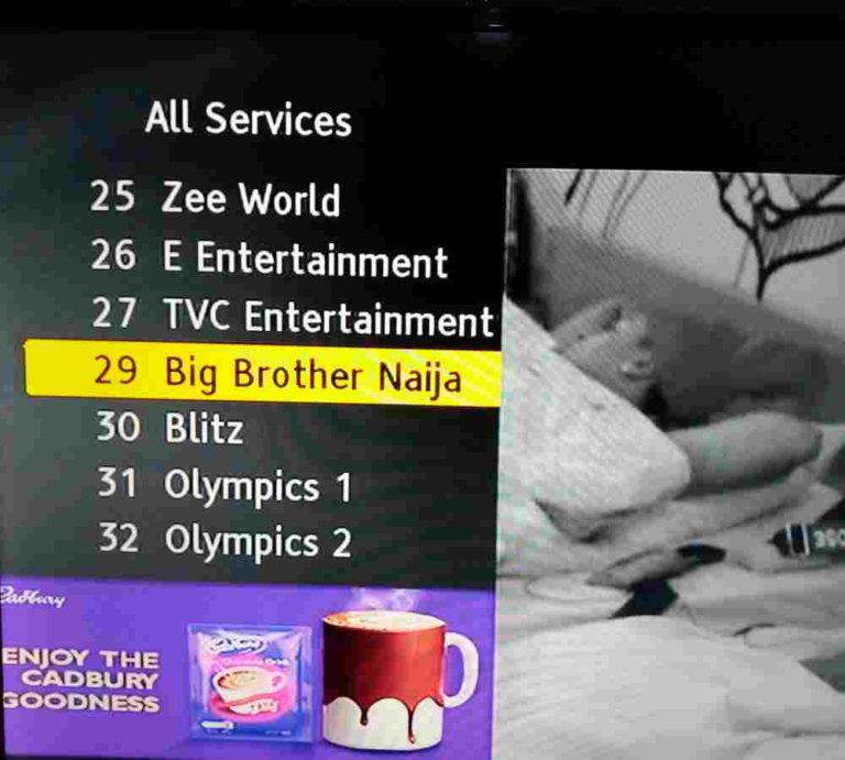 Big Brother Naija channel 29 on GOtv